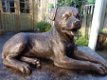Rottweiler urn inclusief beeld - 2 - Thumbnail