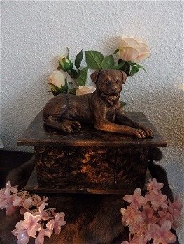 Rottweiler urn inclusief beeld - 3