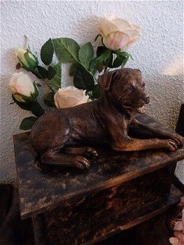 Rottweiler urn inclusief beeld - 5