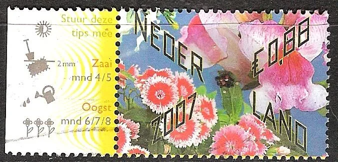 nederland 238 - nr. 1