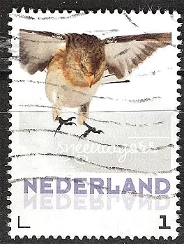 nederland 239 - 0