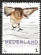 nederland 239 - 0 - Thumbnail