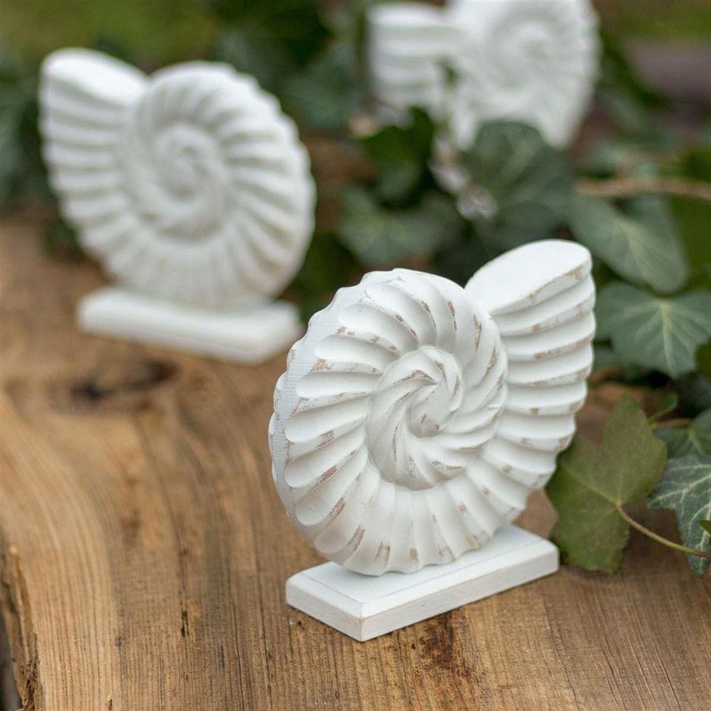 Een schelp van hout, voor decoratieve doeleinden - Afbeelding 2