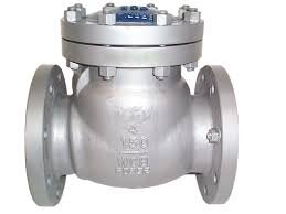 CHECK VALVES IN KOLKATA - 0