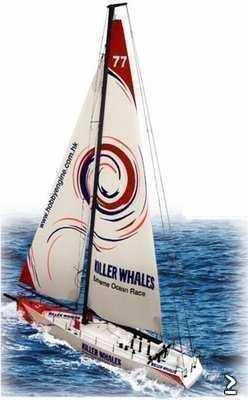 RC zeilboot Killer Whales Hobby Engine nieuw!!! - nr. 1
