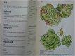 Gezonde groenten - 2 - Thumbnail