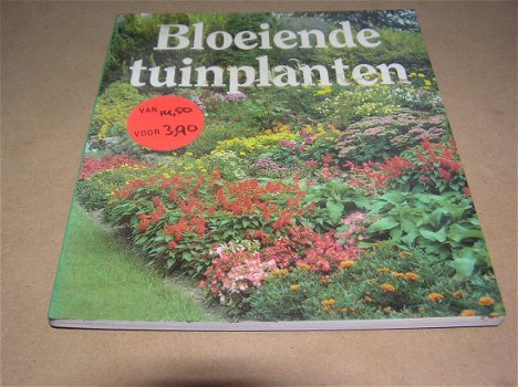 Bloeiende tuinplanten(P1) - 0