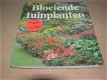Bloeiende tuinplanten(P1) - 0 - Thumbnail