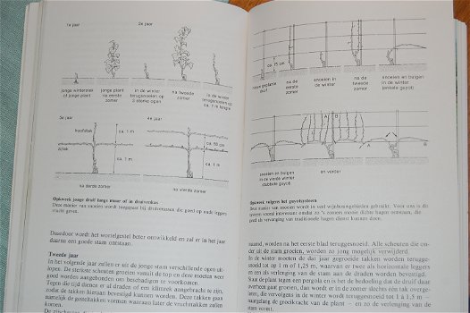 Fred Lorsheid: Het Druivenboek - 2