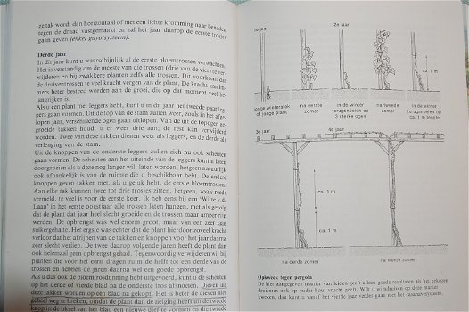 Fred Lorsheid: Het Druivenboek - 5