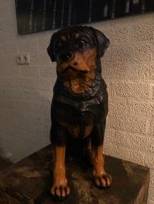 Prachtig polystonen beeld van rottweiler-hond -beeld-kado - Afbeelding 2