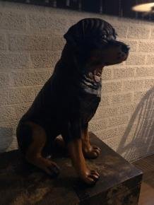 Prachtig polystonen beeld van rottweiler-hond -beeld-kado - Afbeelding 3