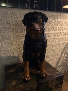 Prachtig polystonen beeld van rottweiler-hond -beeld-kado - Afbeelding 6
