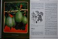 Fruit for the home and garden - 1 - Thumbnail