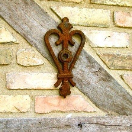 Muuranker (Herzkrone) - Afbeelding 2