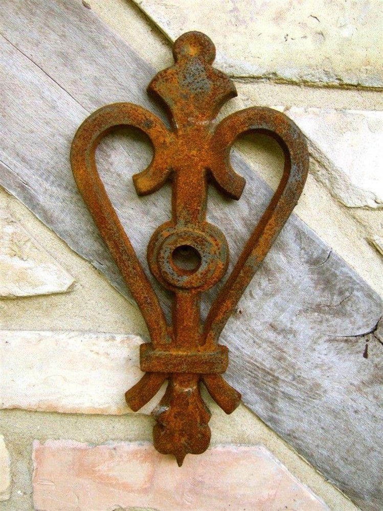 Muuranker (Herzkrone) - Afbeelding 3
