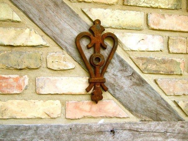 Muuranker (Herzkrone) - Afbeelding 4