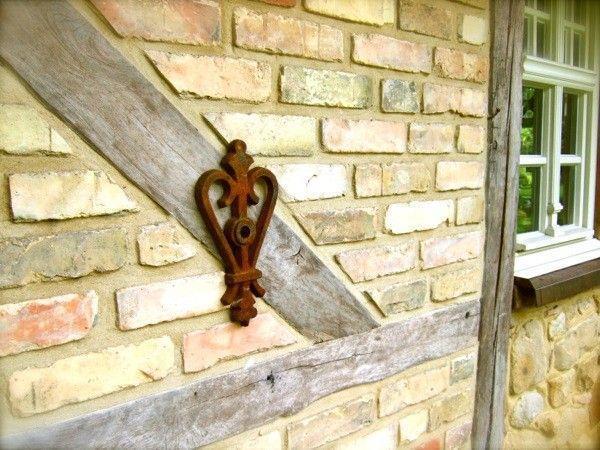Muuranker (Herzkrone) - Afbeelding 5
