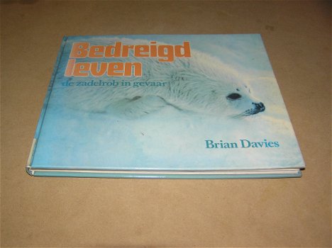 Bedreigd leven,de zadelrob in gevaar-Brian Davies(P3) - 0