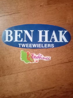 Sticker Leovinci groen NIEUW ORIGINEEL
