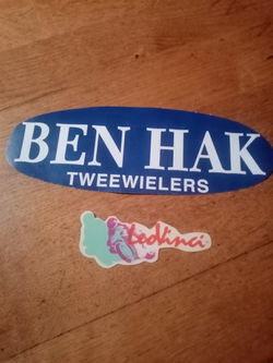 Sticker Leovinci licht blauw NIEUW ORIGINEEL