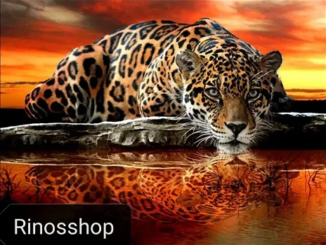 Diamond painting bij Rinosshop Nijkerk - 4