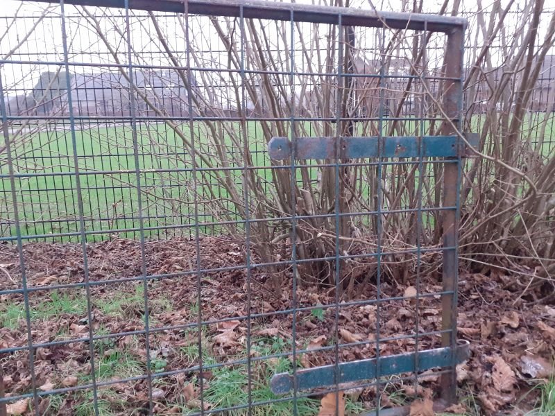 Poort hek ijzer - Afbeelding 2