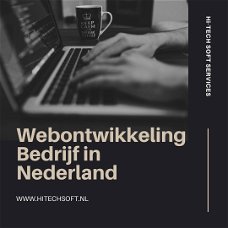 E-commerce Ontwikkelingen Bedrijf in Nederland