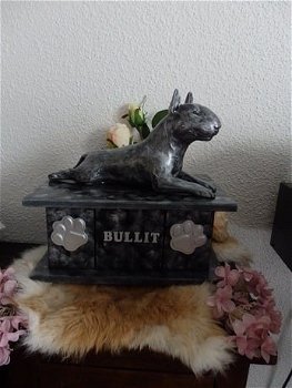 Bull Terrier beeld los of als set incl. urn te koop - 7