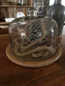 Prachtige mooie stolp met mooie glazen afdekking. - Afbeelding 6