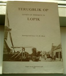 Terugblik op leven en werken in Lopik(J.G.M. Boon, 1980).