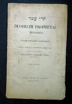 Duodecim Prophetae Minores 1851 Theile - Hebreeuws - 0