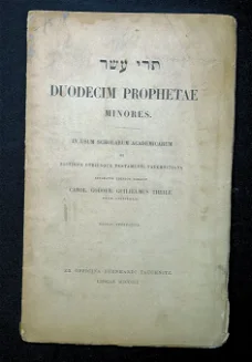 Duodecim Prophetae Minores 1851 Theile - Hebreeuws