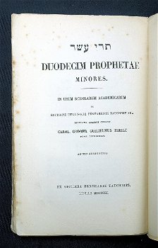 Duodecim Prophetae Minores 1851 Theile - Hebreeuws - 2
