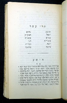 Duodecim Prophetae Minores 1851 Theile - Hebreeuws - 3