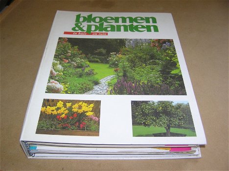 Bloemen & planten 1993 - 0