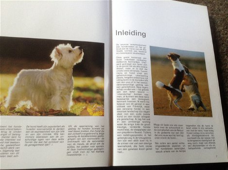 Boek van honden ,lieve en schattige huisdieren ,mensenvriend - 1