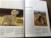 Boek van honden ,lieve en schattige huisdieren ,mensenvriend - 1 - Thumbnail