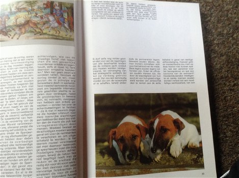 Boek van honden ,lieve en schattige huisdieren ,mensenvriend - 5