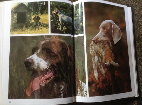 Boek van honden ,lieve en schattige huisdieren ,mensenvriend - 7