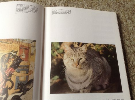 Een Boek van katten,lieve schattige huisdieren,slimme dieren - 3