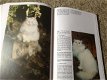 Een Boek van katten,lieve schattige huisdieren,slimme dieren - 5 - Thumbnail