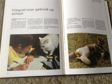Een Boek van katten,lieve schattige huisdieren,slimme dieren - 6
