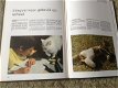 Een Boek van katten,lieve schattige huisdieren,slimme dieren - 6 - Thumbnail