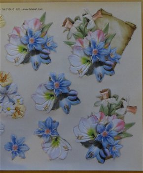 3D Knipvel RELIËF (A4) --- TBZ 571419 --- Bloemen met een waaier - 2