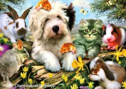 FULL diamond painting animals XL