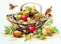Borduurpakket MAND met APPELS Nieuw !