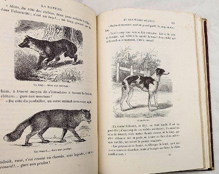 La Nature et ses Trois Règnes 1869 Saintine - Dieren - 7