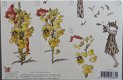 3D Knipvel (A4) FANTASIE --- Flower Fairies STAPFF16 --- Elfen-elfjes / Feeën - 2 - Thumbnail