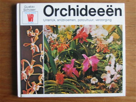 Orchideeën - 0